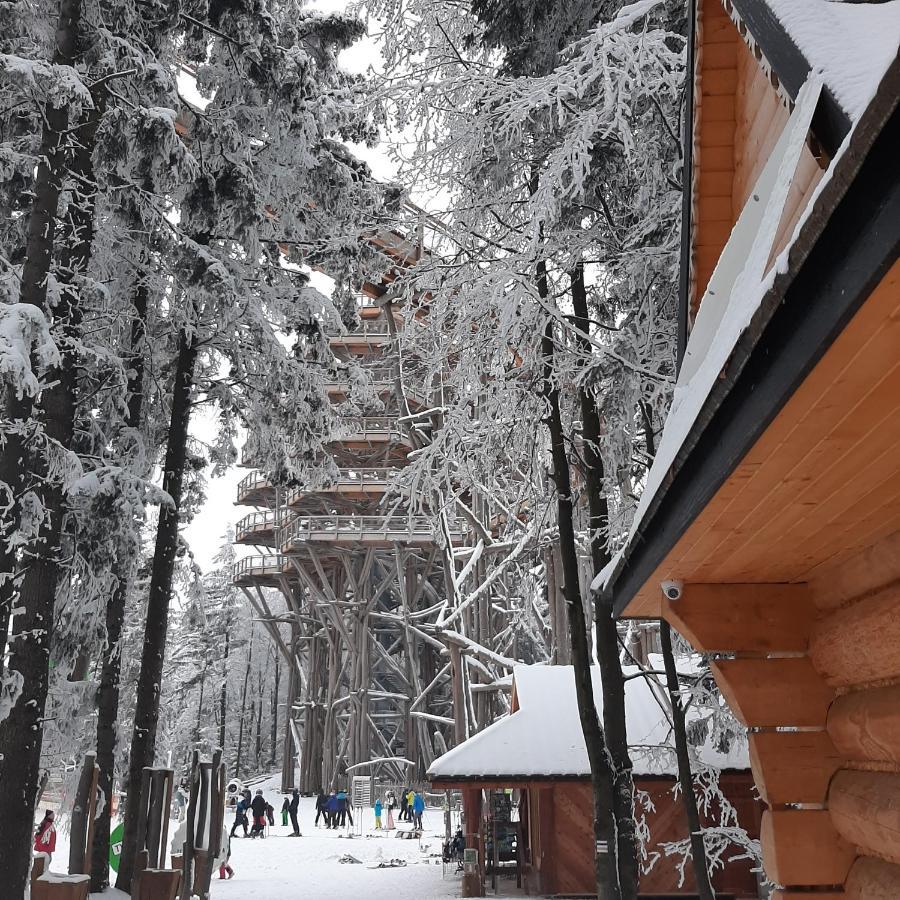 Willa Male Alpy 300 M Od Kompleksow Narciarskich Krynica Zdroj Exterior photo